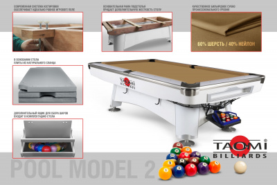 Бильярдный стол TAO-MI Model 2, Camel